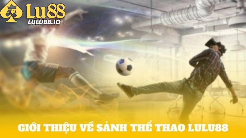 mo-ta-sanh-the-thao-lulu88